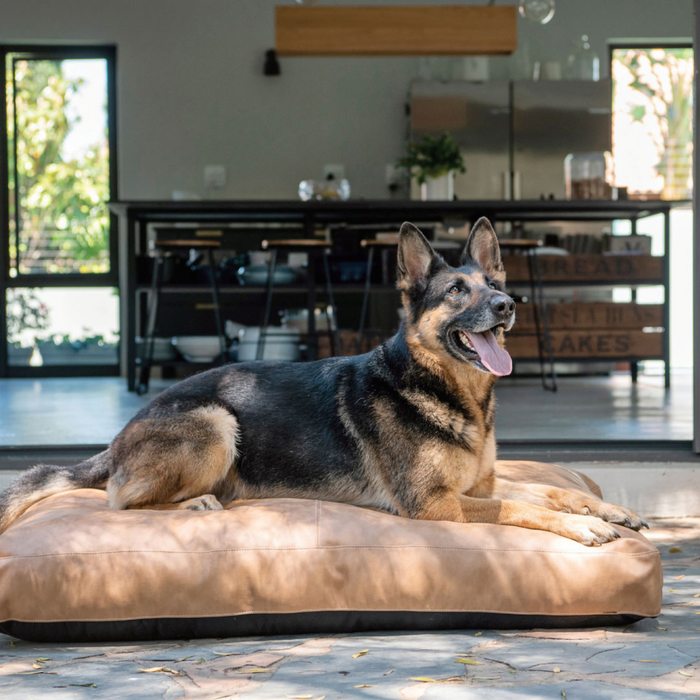 Gunner Dog Cushion