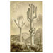 Giant Grey Cacti Art Print - KNUS