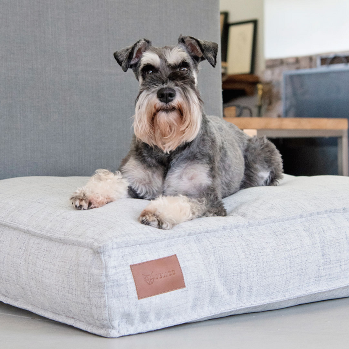 Lulu Dog Cushion