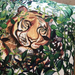 Tiger Tiger Portrait Scatter Cover - KNUS