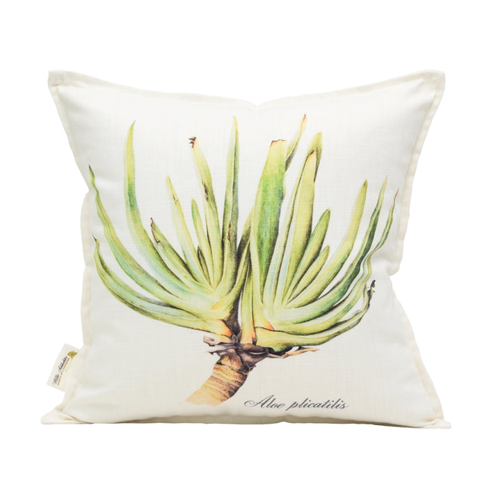 Aloe Plicatilis Scatter Cushion - KNUS