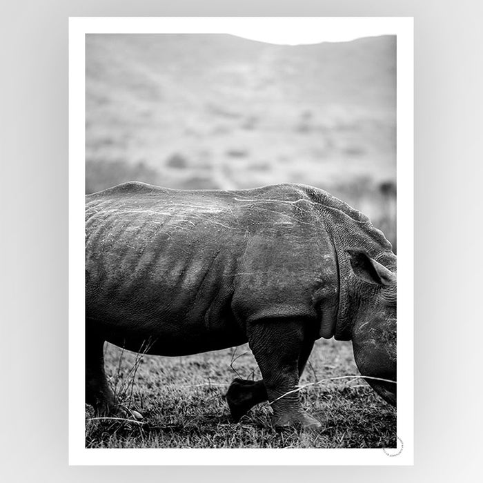 Black Rhino Art Print - KNUS