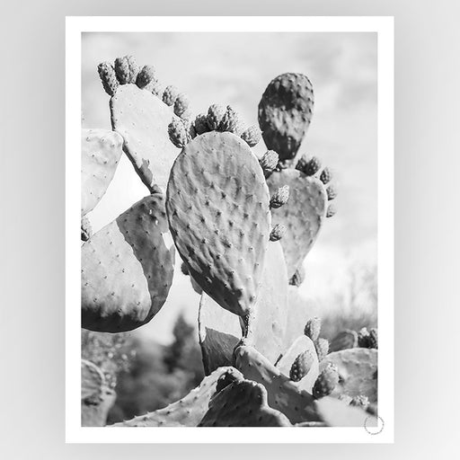 Cacti Cowboy 1 Art Print - KNUS
