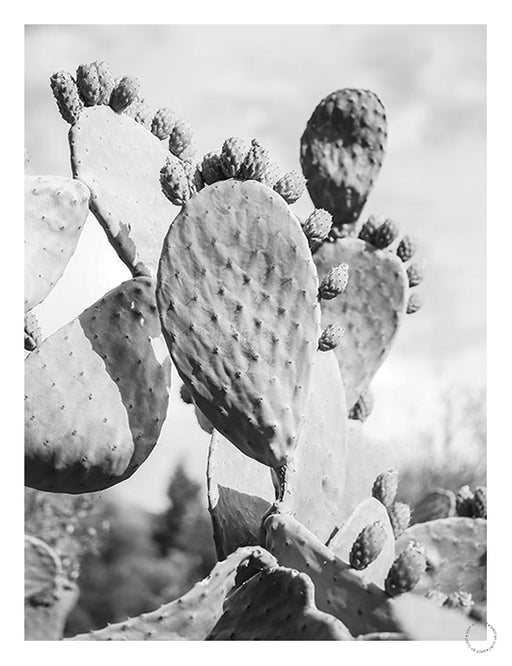 Cacti Cowboy 1 Art Print - KNUS