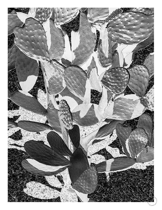Cacti Cowboy 2 Art Print - KNUS