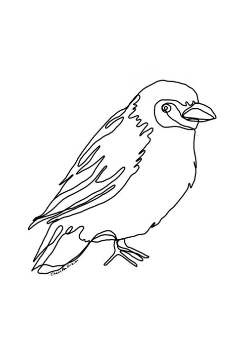 Cape Weaver Bird Single Line Art Print - KNUS