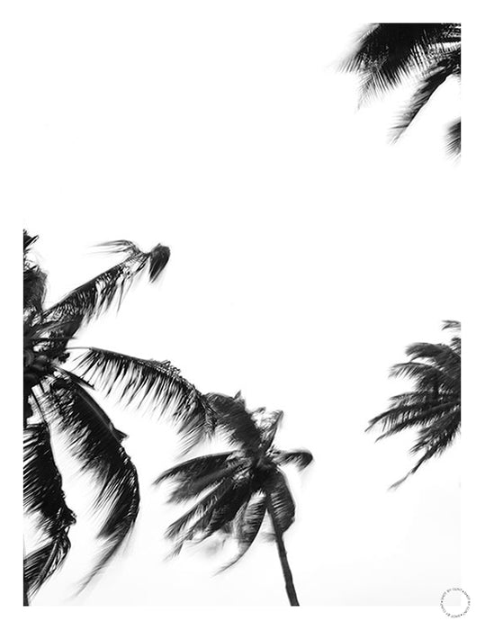 Coco Island 3 Art Print - KNUS