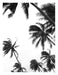 Coco Island 4 Art Print - KNUS