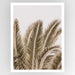 Desert Palm Art Print - KNUS