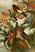 Die Nordamerikanische Vogelwelt 10 Art Print - KNUS