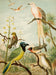 Die Nordamerikanische Vogelwelt 13 Art Print - KNUS