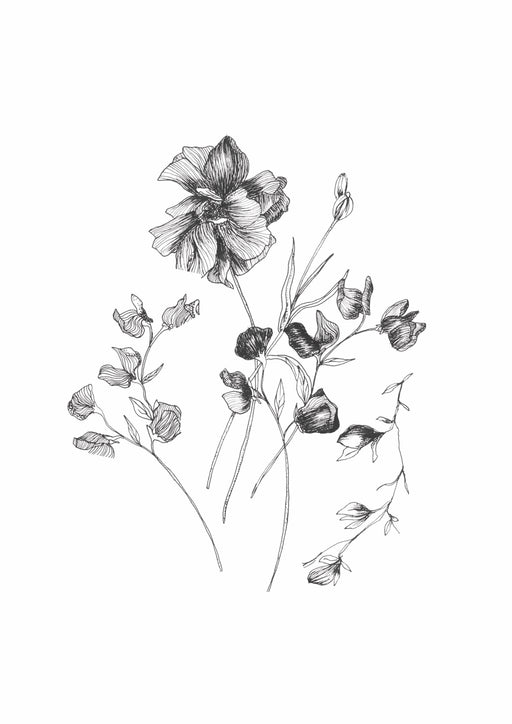 Floral Sketch 1 Art Print - KNUS