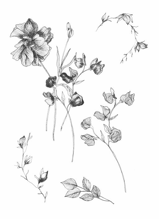 Floral Sketch 3 Art Print - KNUS