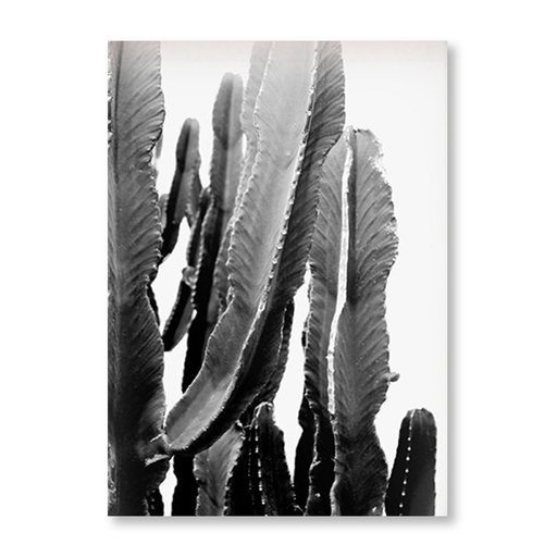Fat Cactus Art Print - KNUS
