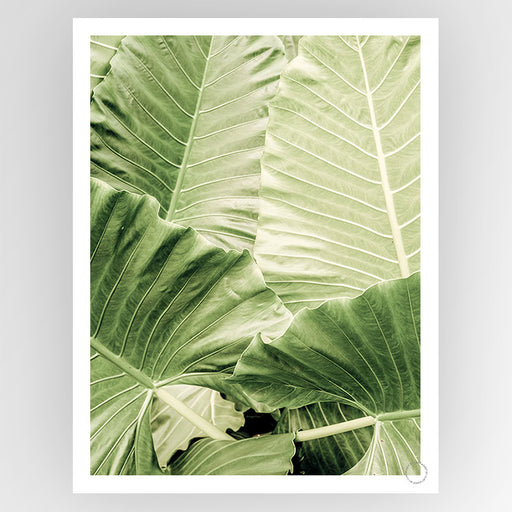 Jungle Fever Art Print - KNUS