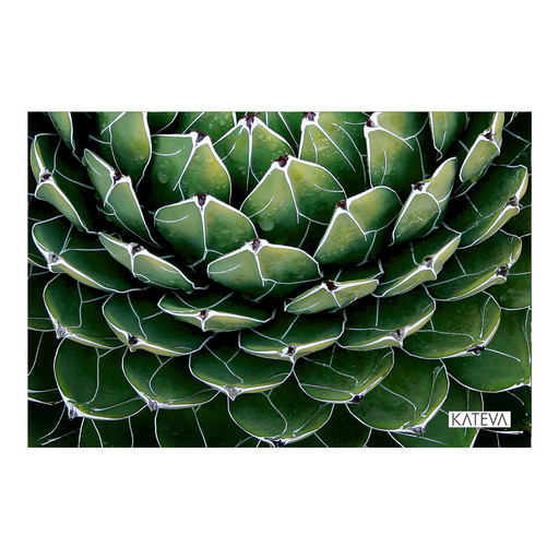 Cactus 3 Art Print - KNUS