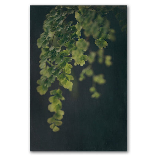 Dark Foliage 1 Art Print - KNUS