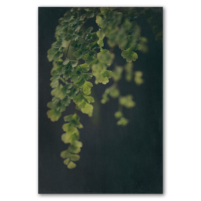 Dark Foliage 1 Art Print - KNUS