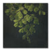 Dark Foliage Square 1 Art Print - KNUS