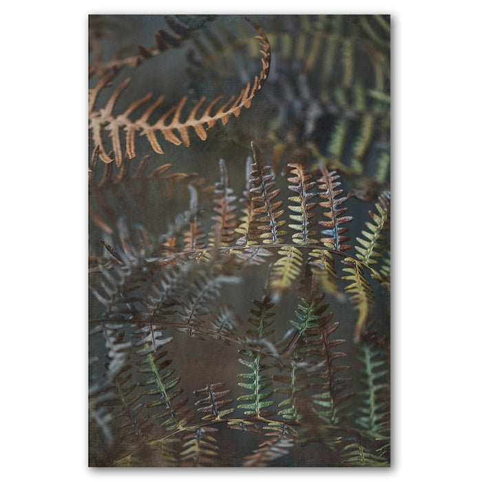 Earthy Ferns 2 Art Print - KNUS