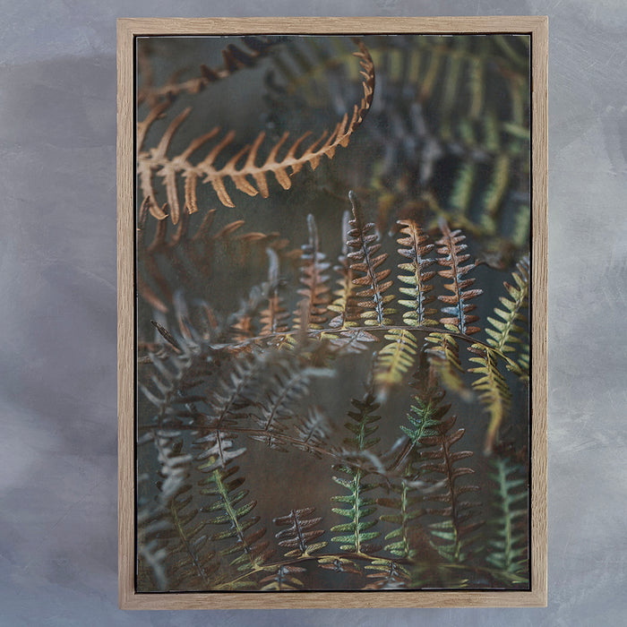 Earthy Ferns 2 Art Print
