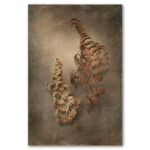 Earthy Ferns 3 Art Print - KNUS