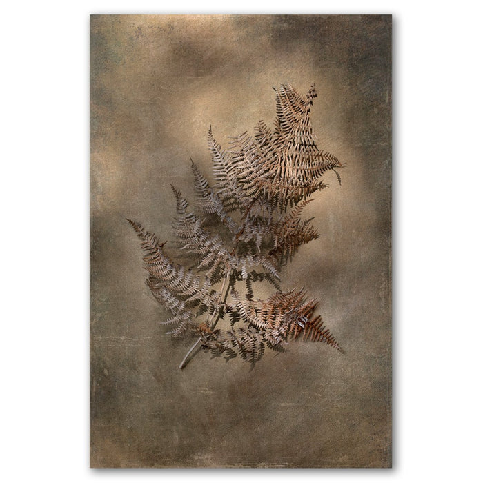 Earthy Ferns 4 Art Print - KNUS