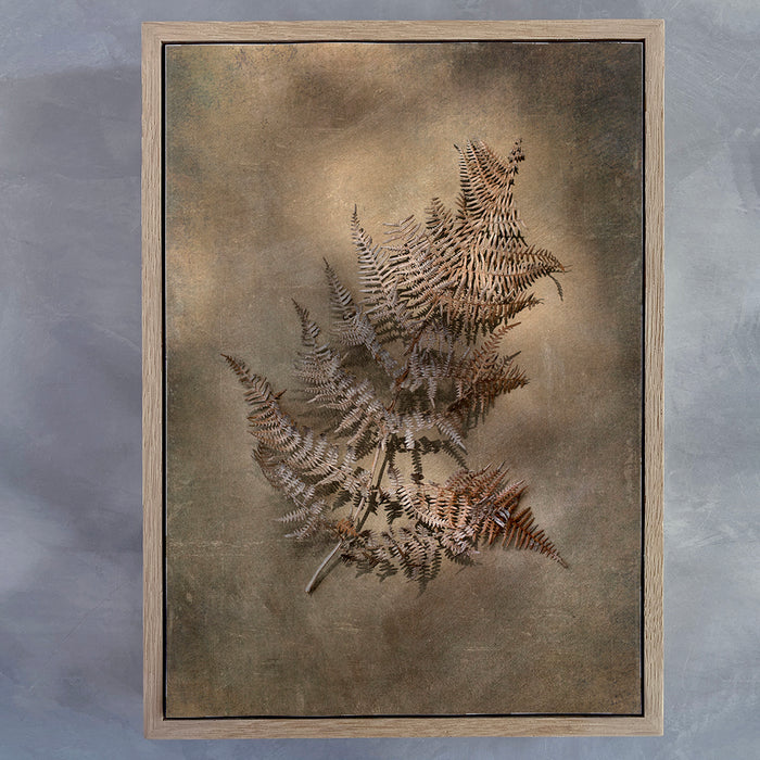 Earthy Ferns 4 Art Print