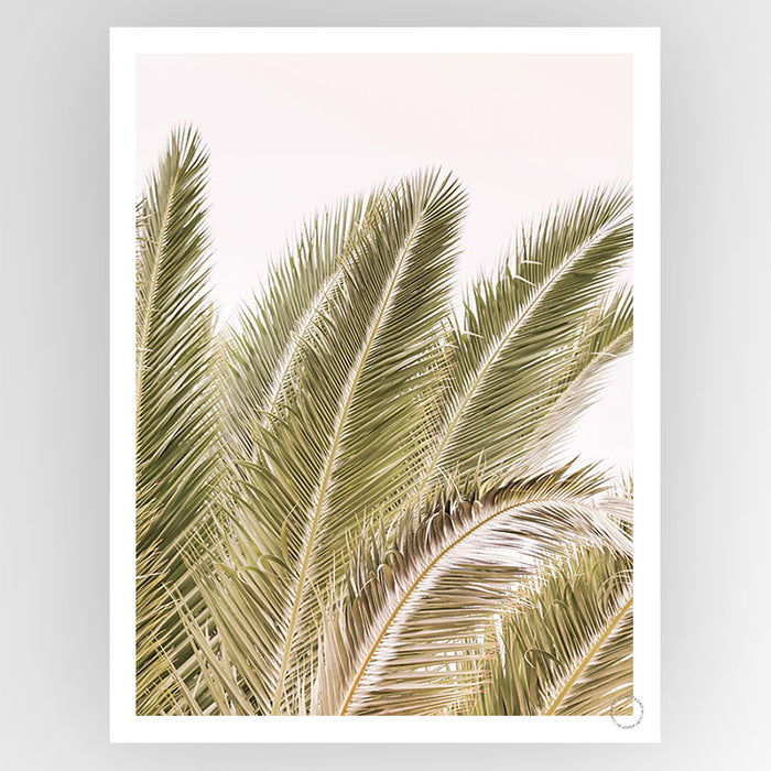 Oasis Palm 1 Art Print - KNUS