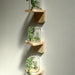 Plant Shelves Set of 3 - KNUS