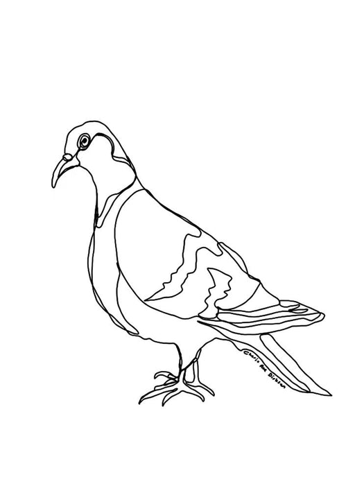 Pigeon Single Line Art Print - KNUS