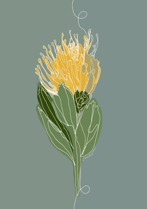 Pincushion Protea Single Line Art Print - KNUS