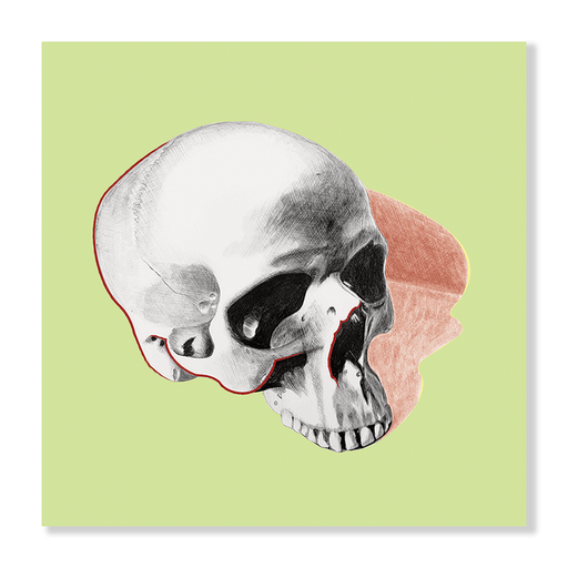 Pop Skull 2 Art Print  - KNUS