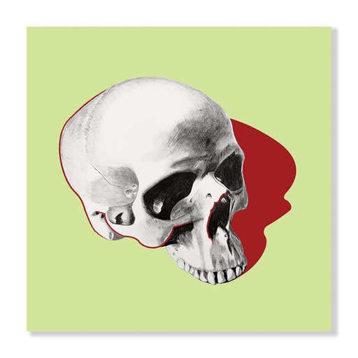Pop Skull 4 Art Print  - KNUS