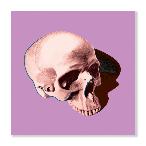 Pop Skull 6 Art Print  - KNUS
