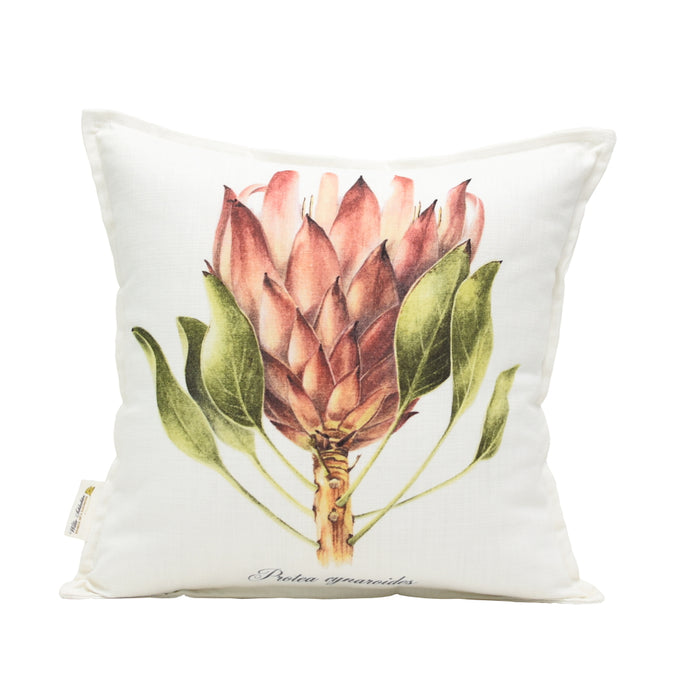 Protea Cynaroids Front Scatter Cushion - KNUS