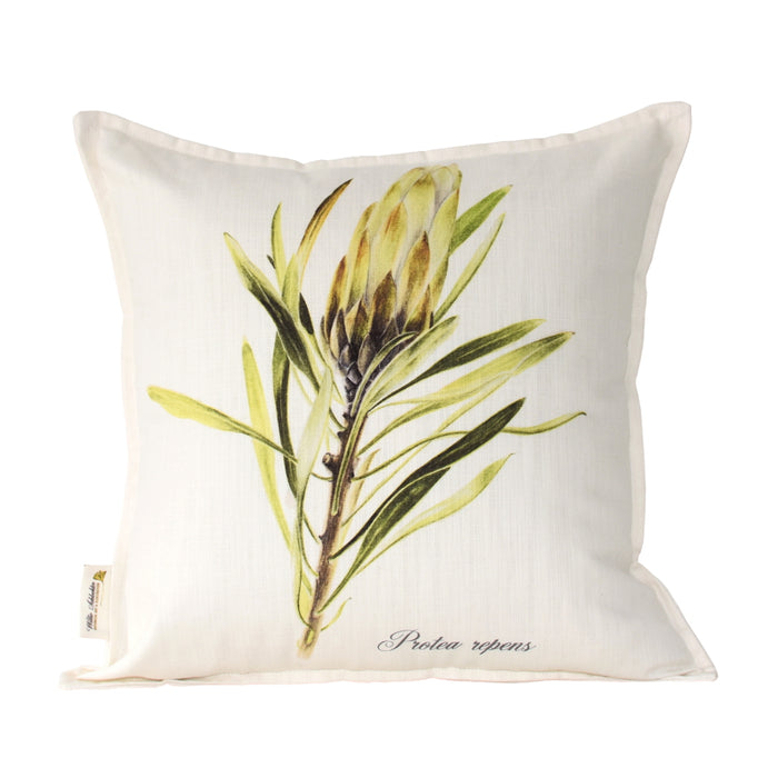 Protea Repens White Scatter Cushion - KNUS