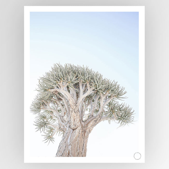 Quiver Tree Art Print - KNUS