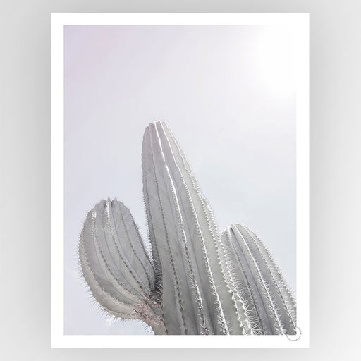 Saguaro Art Print - KNUS