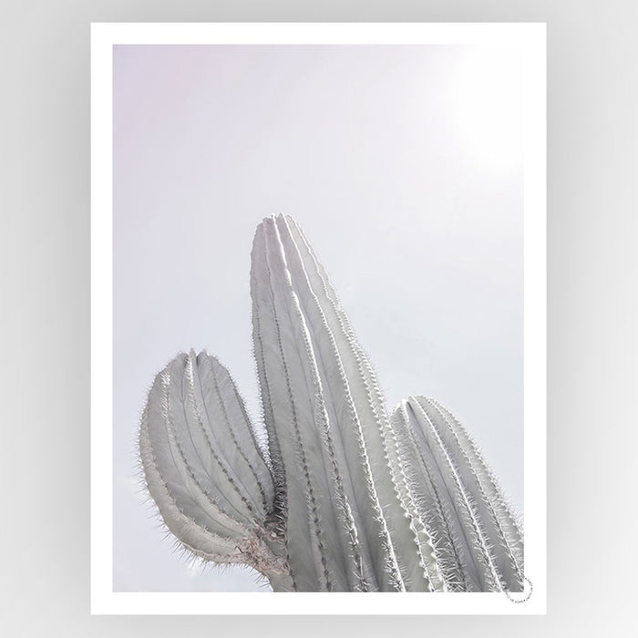 Saguaro Art Print - KNUS