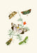 The Cabinet of Oriental Entomology Pl IV (1848) Art Print - KNUS