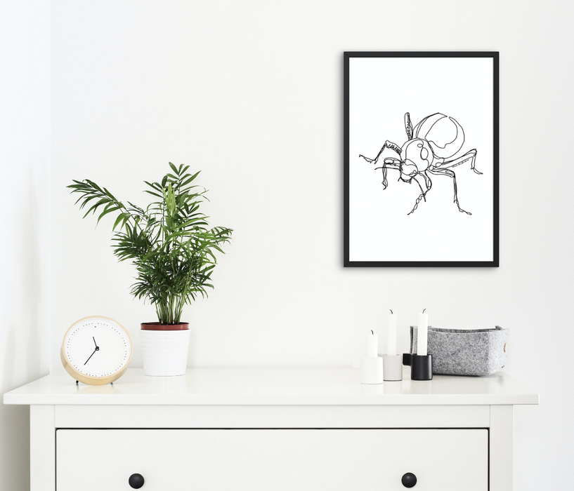 Toktokkie Beetle Single Line Art Print - KNUS