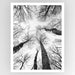 Tree Study 7 Art Print - KNUS
