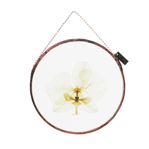 Orchid Botanical Wall Art Round Small - 1