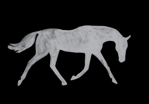 White Horse On Black Art Print - KNUS