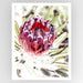 Wild Protea Art Print - KNUS