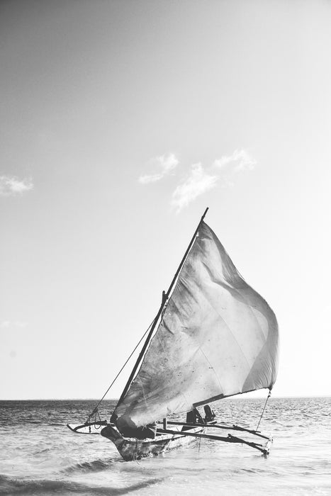 Wind in the Sails Art Print