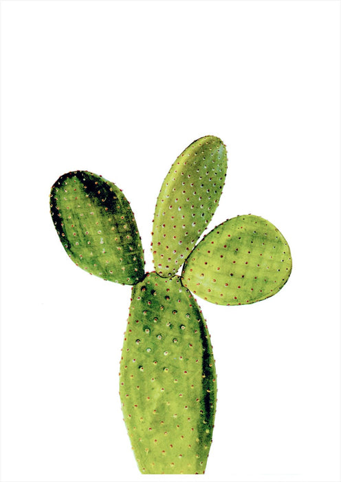 Cacti Close Up Art Print - KNUS
