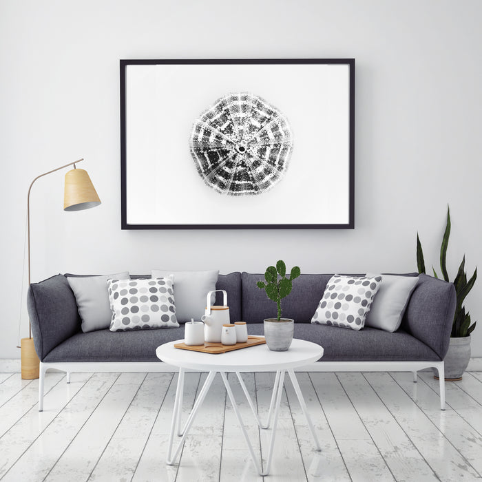 Shelled Urchin Art Print - KNUS