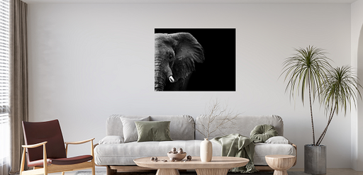 Elephant Half Face Canvas Print - 2